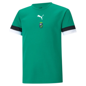 CAMISETA VILLA ENT TEAM GOAL VERDE